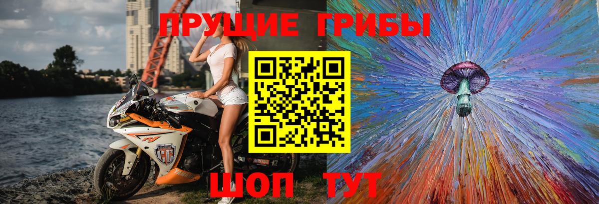 Гулькевичи  Галлюциногенные грибы Psilocybine cubensis  наркотики  Вход с VPN  Галлюциногенные грибы мицелий 